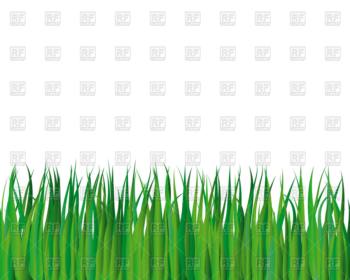 1200x960 Background With Green Grass Vector Image Of Backgrounds, Textures