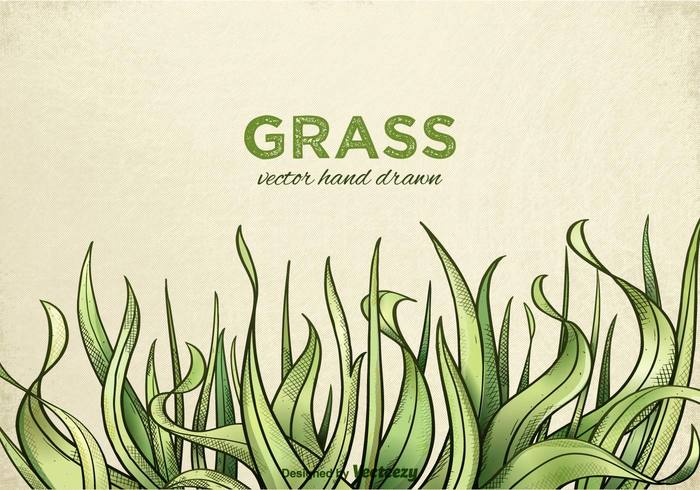 700x490 Free Hand Drawn Grass Vector