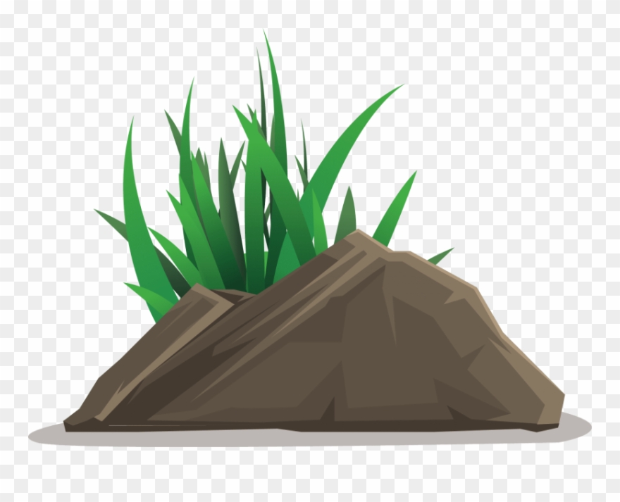 880x713 Free Png Download Grass Vector Png Images Background Clipart