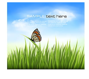 310x275 Free Download Beautiful Butterfly And Green Grass Vector