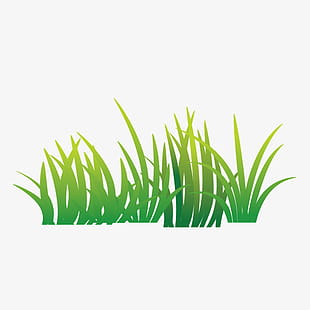 310x310 Free Download Icon Military Helmet With Grass Vector