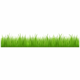 320x320 Grass Png, Backgrounds And Vectors Free Download