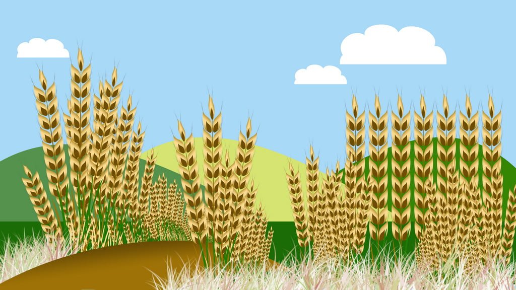 1024x576 Grass Vector Photoshop Template Free Download Paadlom