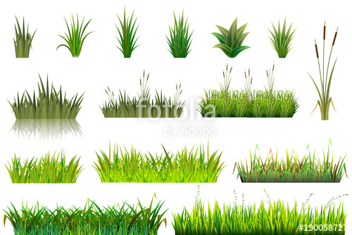 500x334 Grass Vector Grassland Or Grassplot And Green Grassy Field