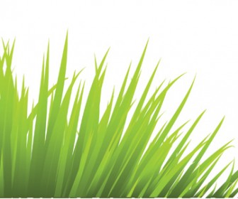 336x280 Green Grass Vector Material Search Free Download Web