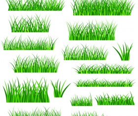 280x235 Green Grass Vector