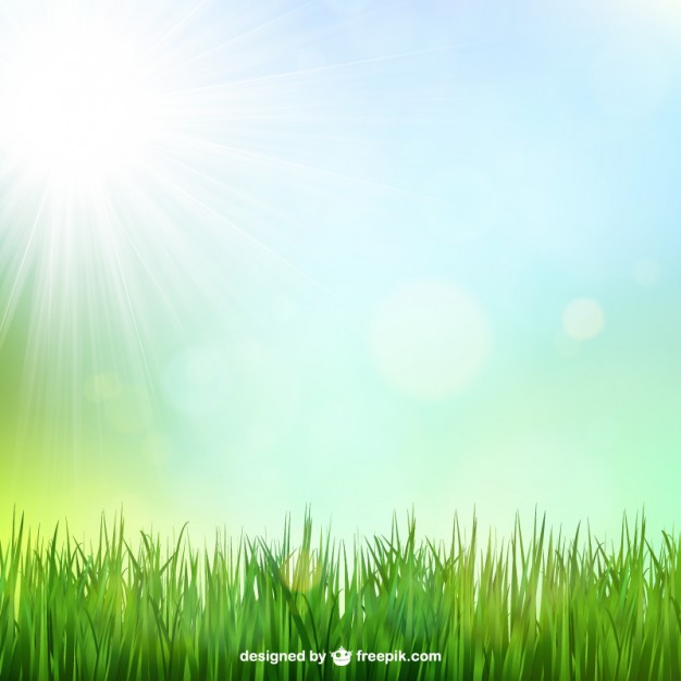 626x626 Green Grass Background Free Vector Green Grass Background