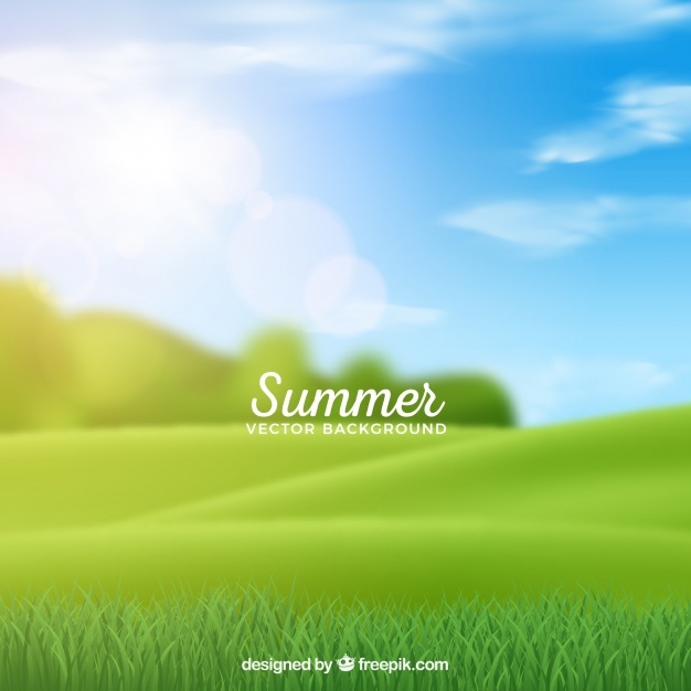626x626 Green Grass Blue Sky Background Summer Background With Blurred