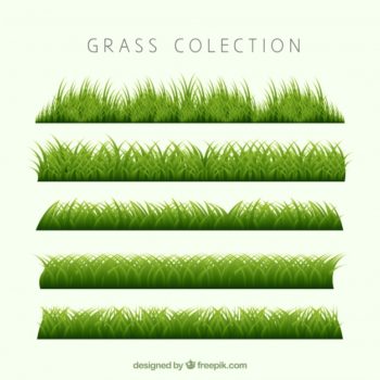 350x350 Green Grass Design Free Download