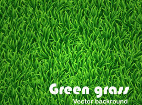 452x336 Green Grass Vector Background Free Vector Background Download
