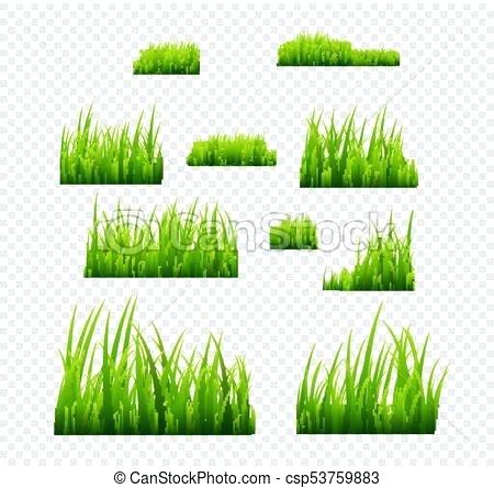 450x444 Grass Template