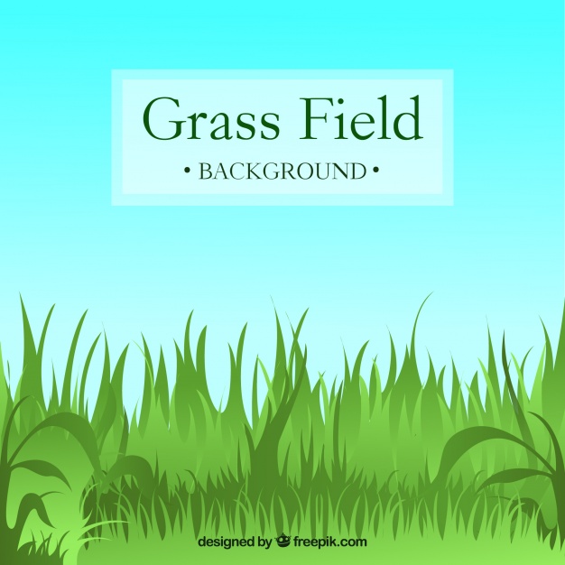 626x626 Field Background With Green Grass Vector Free Download