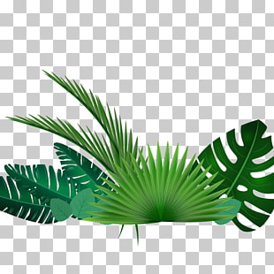 Grass Vector Png