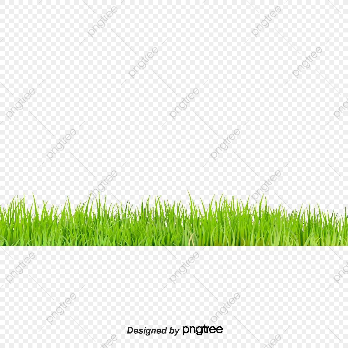 1200x1200 Grass, Green, Grass Vector Png And Vector With Transparent