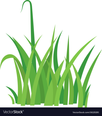 400x456 Grass Png