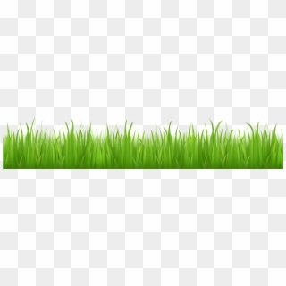 320x320 Grass Png Images, Free Transparent Image Download