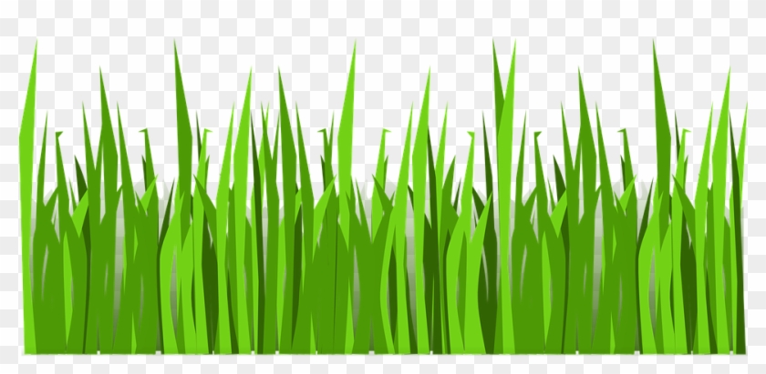 840x411 Grass Png Vector Png Download, Transparent Png