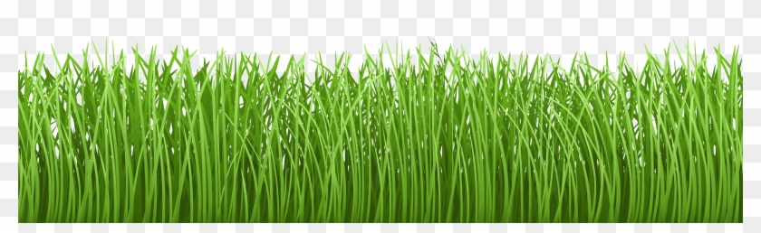 840x258 Grass Vector Png Download, Transparent Png