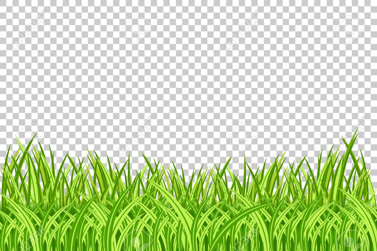 1300x866 Grass Border No Background Png Grass Border Vector Illustration