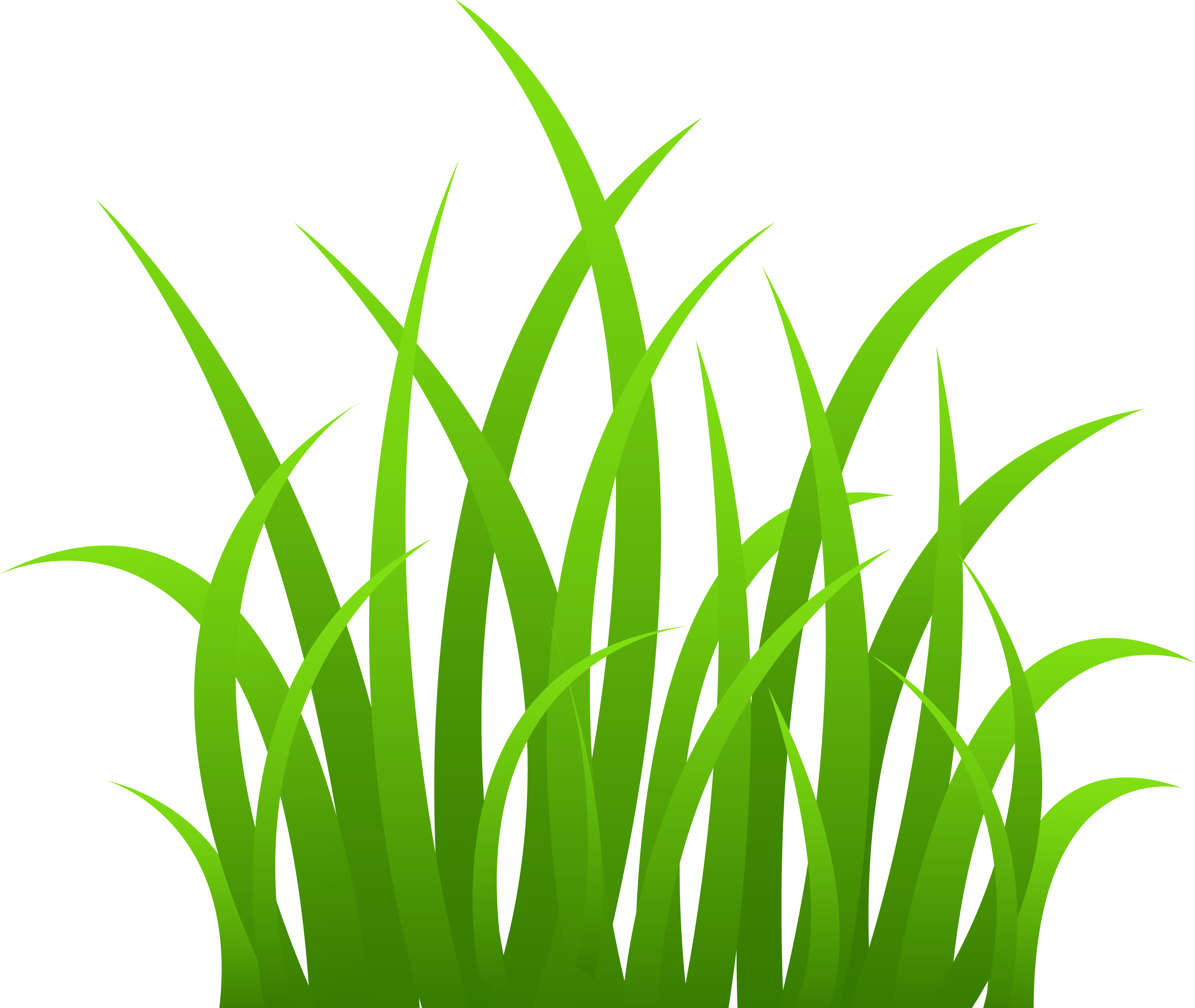 5871x4953 Tall Grass Vector Art Png Images