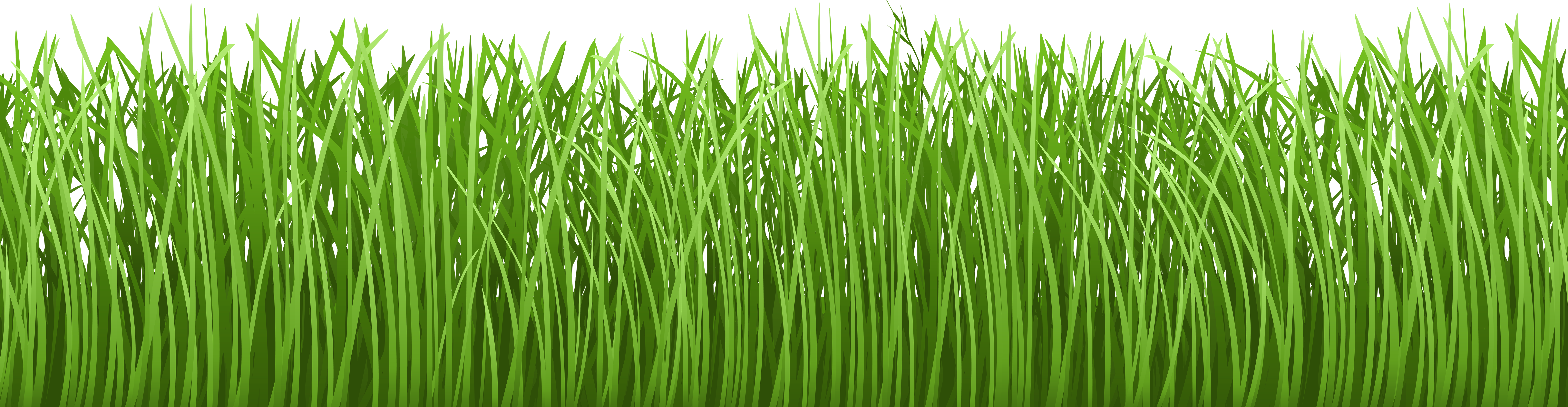 8001x2077 Hd Grass Vector Png Download