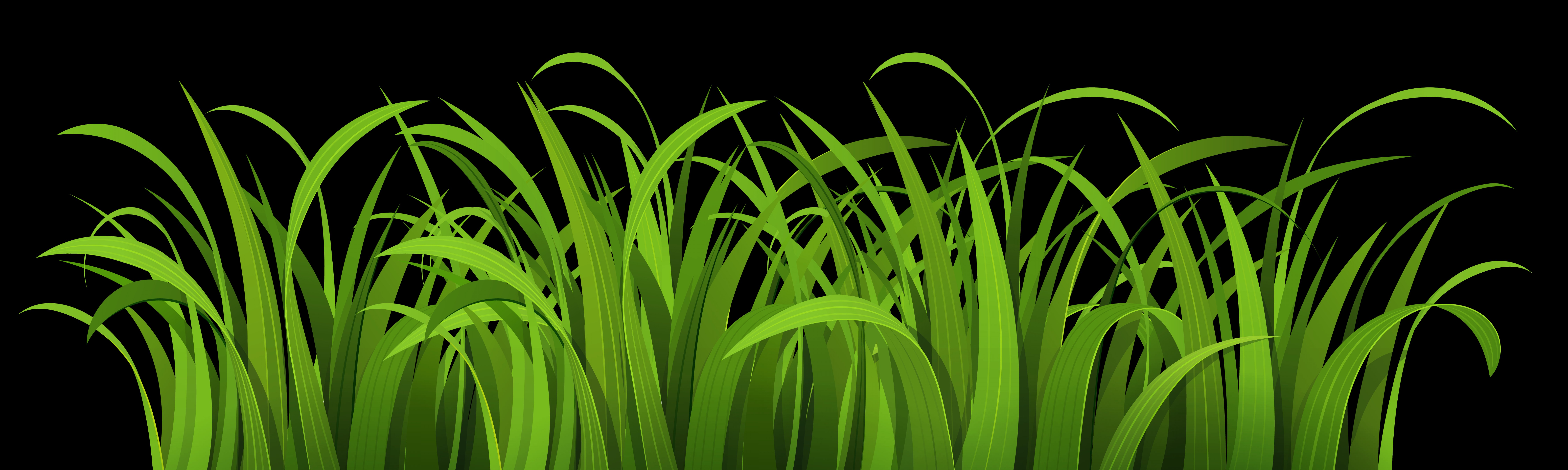 9000x2700 Pngpix Com Grass Vector Png Transparent Image Soidergi