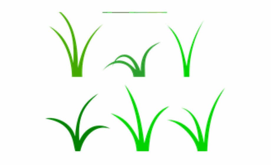 920x561 Sea Grass Clipart Wild Grass