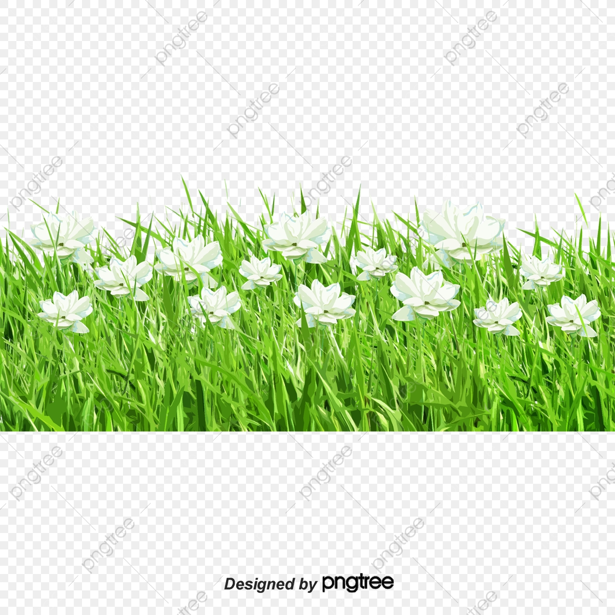 1200x1200 Spring Flowers Cartoon Grass, Spring Vector, Cartoon Vector, Grass