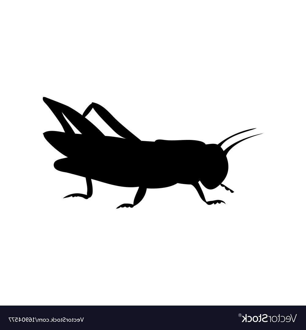 Grasshopper Logo Vector