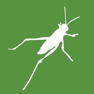 300x300 Grasshopper Logo Vector