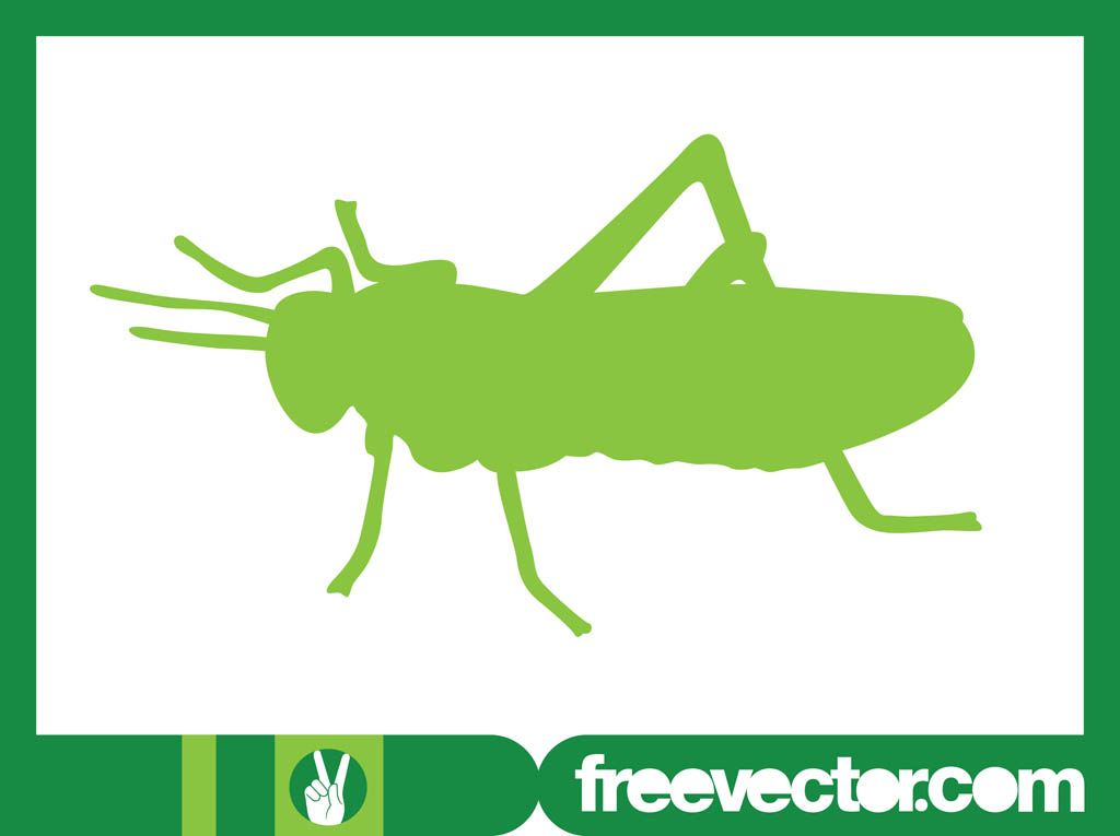 1024x765 Grasshopper Silhouette Vector Art Graphics
