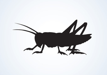 341x240 Grasshopper Vector Photos, Royalty Free Images, Graphics, Vectors
