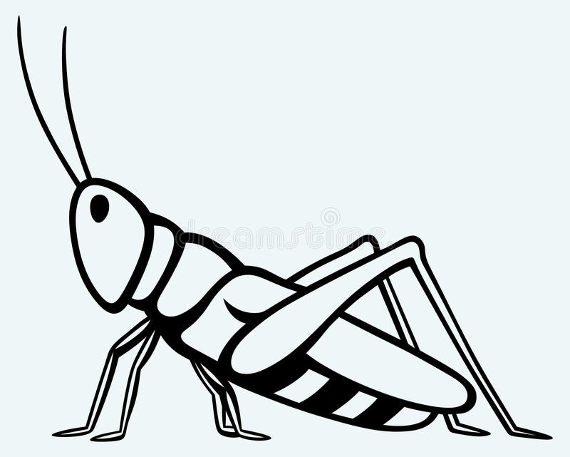 800x641 Grasshopper Clipart Vector Clip For Free Download And Use Images