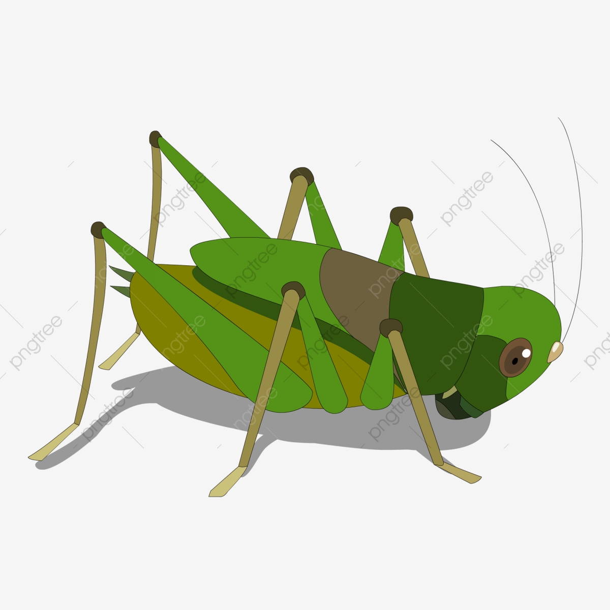 1200x1200 Cartoon Grasshopper Locust Pest, Grazing, Eat A Bookmaker