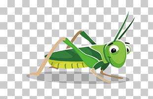 310x201 Grasshopper Vector Png Cliparts For Free Download Uihere
