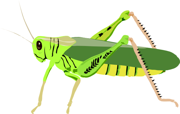 Grasshopper Locust Clip Art 600x379 Grasshopper Locust Clip Art