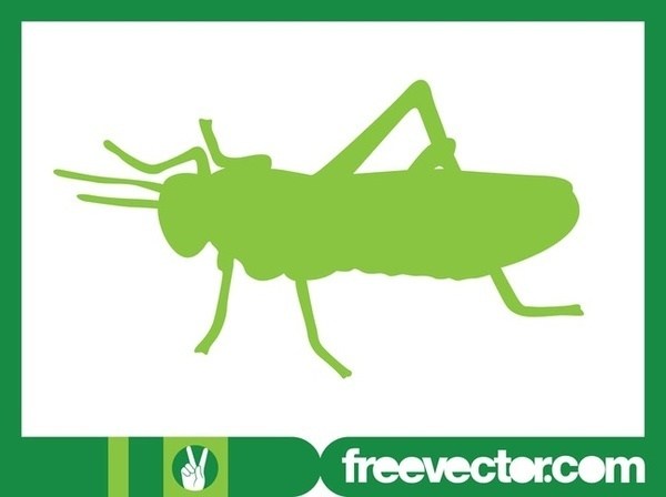 600x448 Grasshopper Silhouette Free Vector