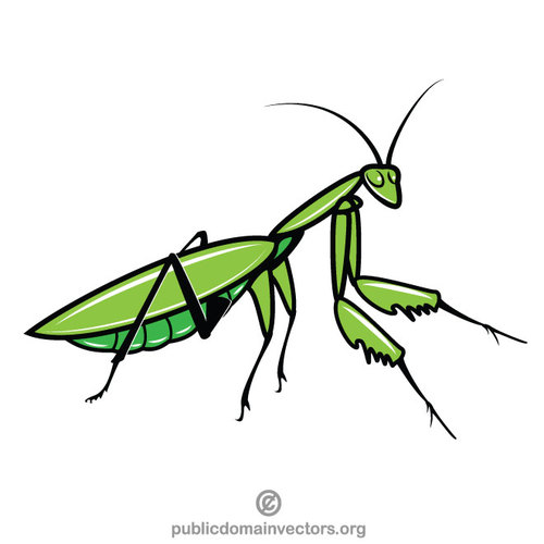 500x500 Grasshopper Vector Graphics