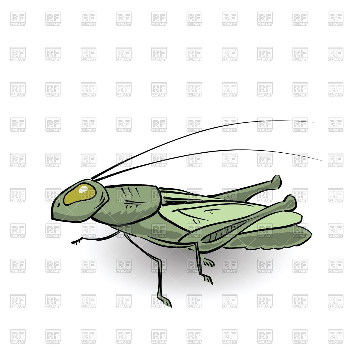1200x1200 Green Grasshopper Vector Image Of Plants And Animals