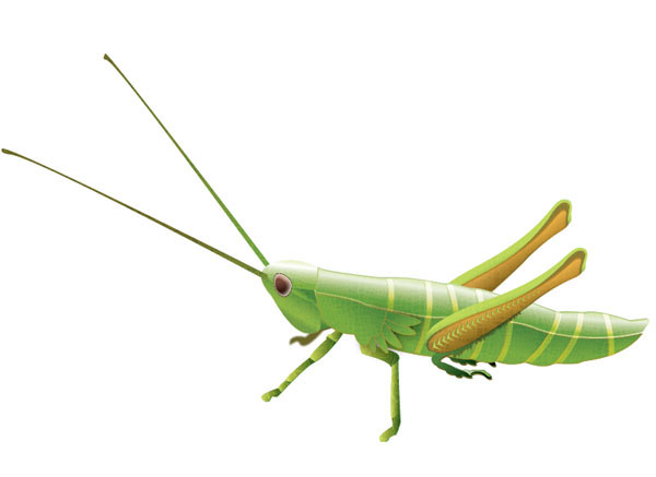 600x437 How To Create A Stylized Vector Grasshopper