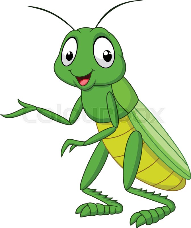 671x800 Cartoon Grasshopper Isolated On White Stock Vector Colourbox
