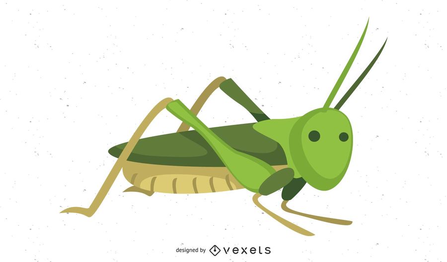 900x529 Vector Grasshopper