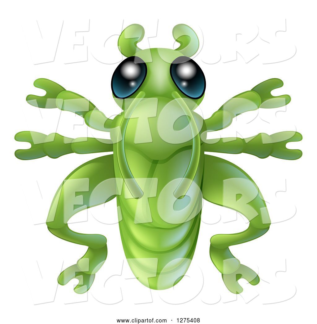1024x1044 Vector Of Cute Grasshopper Bug