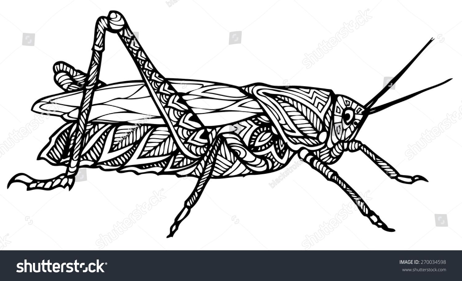 1500x915 Zentangle Style Grasshopper Vector Zentangle Zentangle