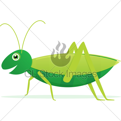 500x500 Cute Cartoon Vector Grasshopper Gl Stock Images