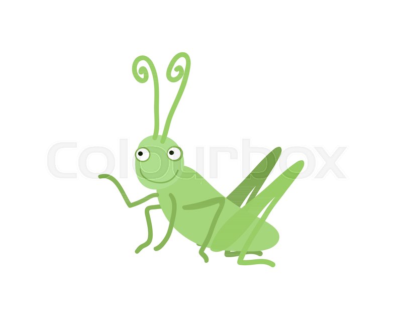 800x635 Funny Grasshopper Vector Illustration Stock Vector Colourbox