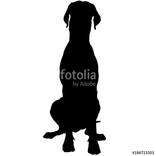 500x500 Great Dane Dog Silhouette Vector Graphics Stock Image And Royalty