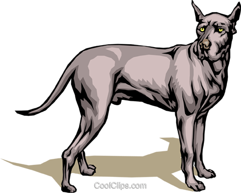 480x385 Great Dane Royalty Free Vector Clip Art Illustration