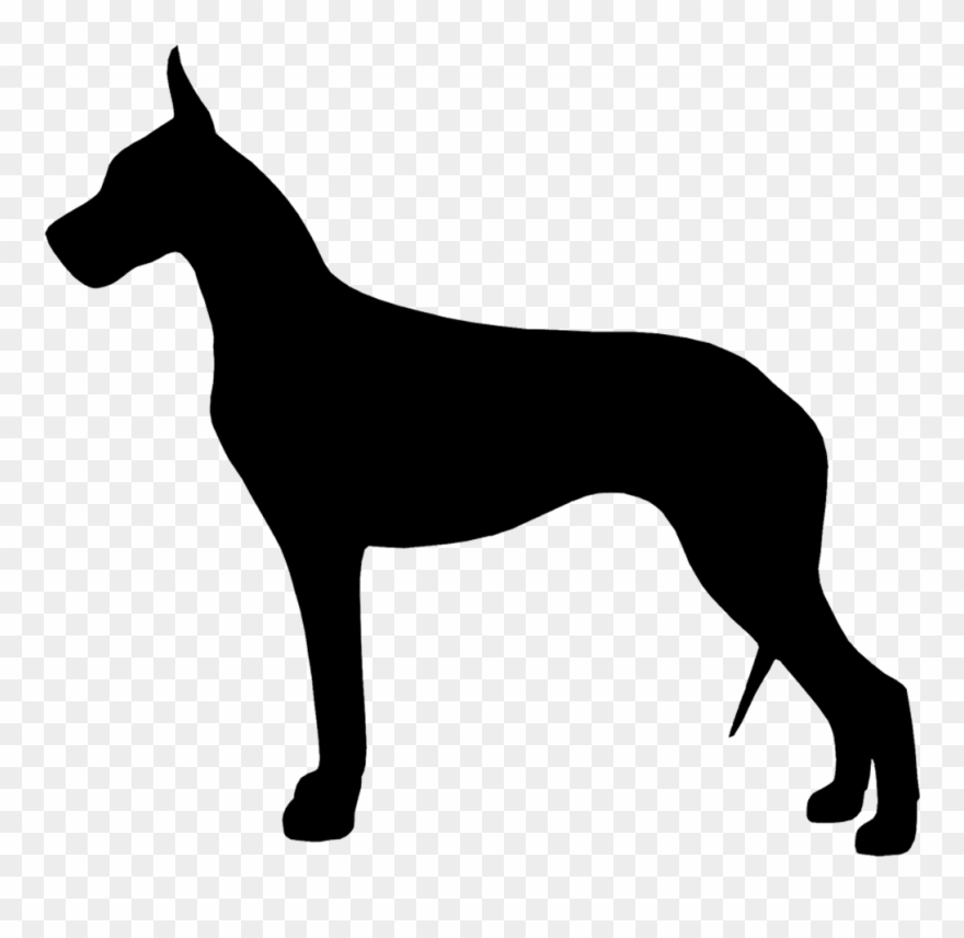 880x856 Great Dane Vector