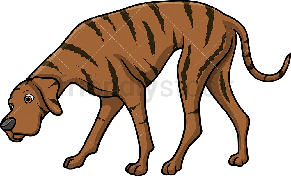 1000x604 Brindle Great Dane Sniffing Cartoon Clipart Vector